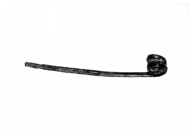 fibula/ ardiglione